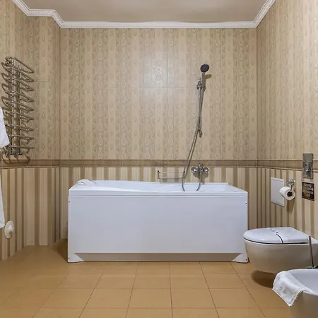 Карпатська Ружа