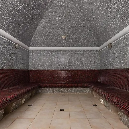 Карпатська Ружа Hotel Plave