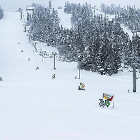 Карпатська Ружа Hotel Plave