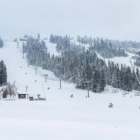 Карпатська Ружа