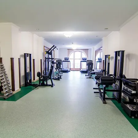 Карпатська Ружа 5*