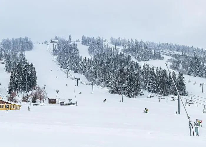 Карпатська Ружа