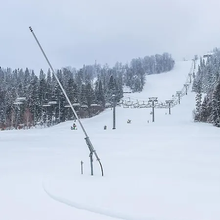 Hotel Карпатська Ружа 5*