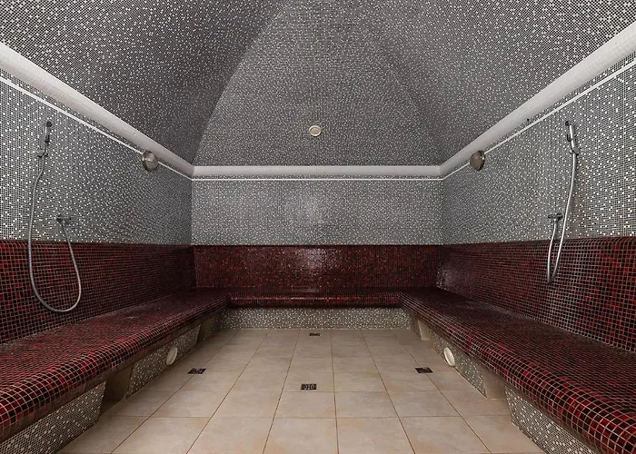 Карпатська Ружа Otel Plave