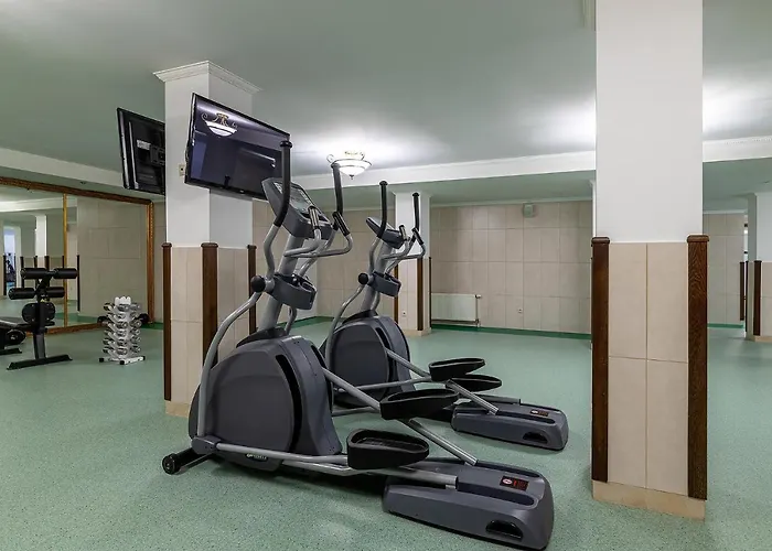 Otel Карпатська Ружа 5*